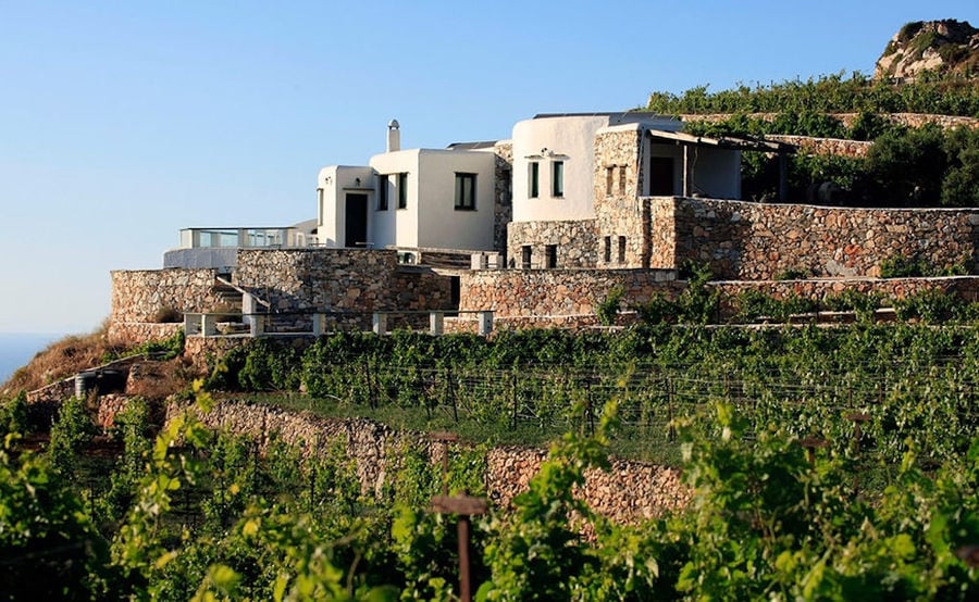 view of 'Manalis Winery' vineyards in the background of blue sky and the building